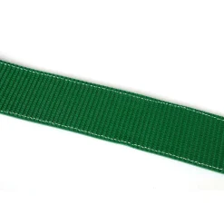Sale Auto transport spanband 250 cm - 5000 kg Spanbanden
