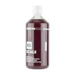 Outlet DS SCALE Shampoo 1000ML Auto Wassen